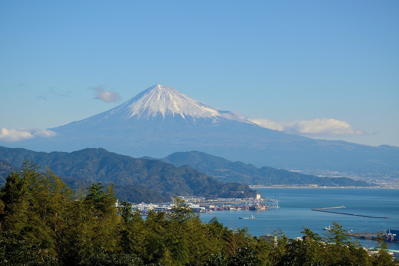 Scenic Delights and Culinary Wonders in Numazu